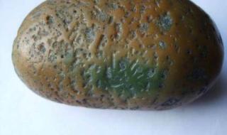 夜明珠价格 夜明珠价格